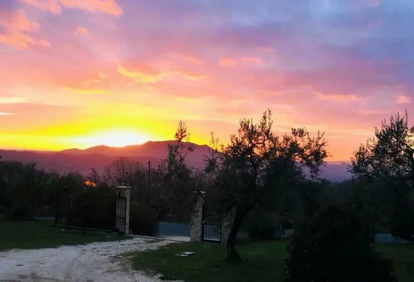 スーペリアファミリールーム, La Collina Degli Ulivi