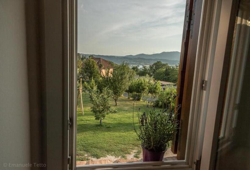 חדר משפחתי, La Collina Degli Ulivi