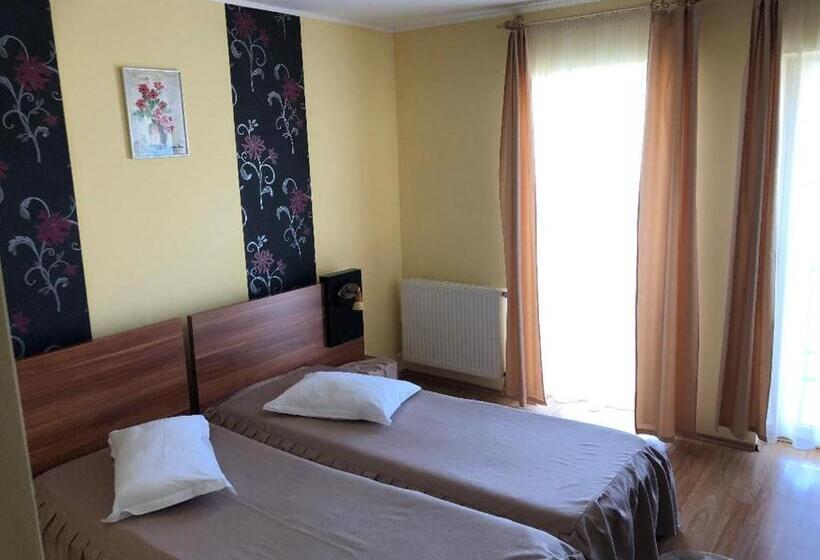 Номер Стандарт, Sucidava