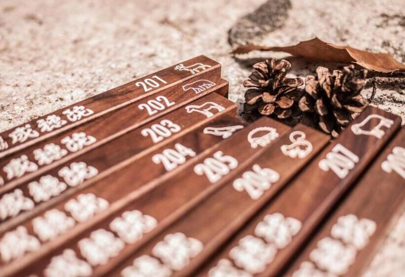 ベーシックルーム, 金剛寺 宿坊 成穂院