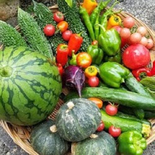 ベーシックルーム, 金剛寺 宿坊 成穂院