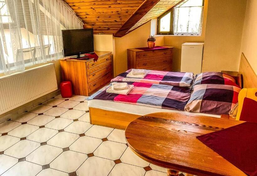 חדר סטנדרט עם מרפסת, Penzion U Lišáka