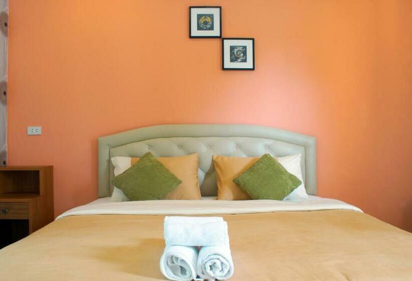 Номер Стандарт, The Areaac