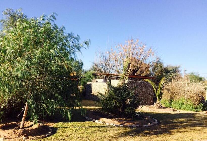 Номер Стандарт, Kalahari Camelthorn Guesthouse And Camping