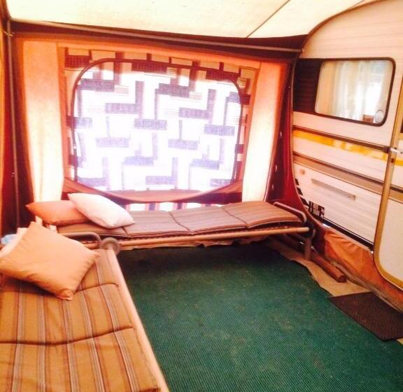 スタンダードルーム, Kalahari Camelthorn Guesthouse And Camping