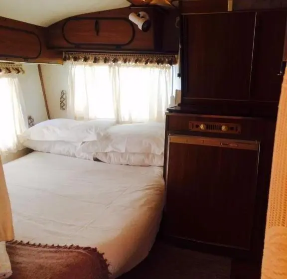 スタンダードルーム, Kalahari Camelthorn Guesthouse And Camping