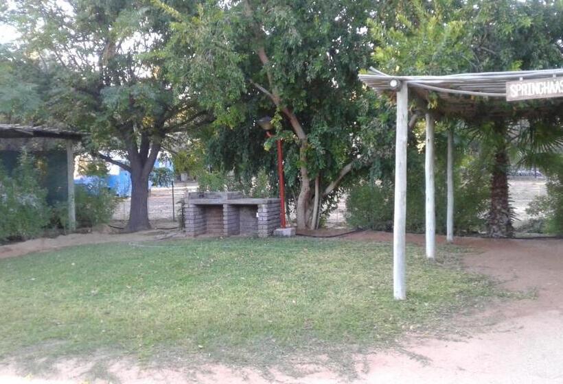 スタンダードルーム, Kalahari Camelthorn Guesthouse And Camping