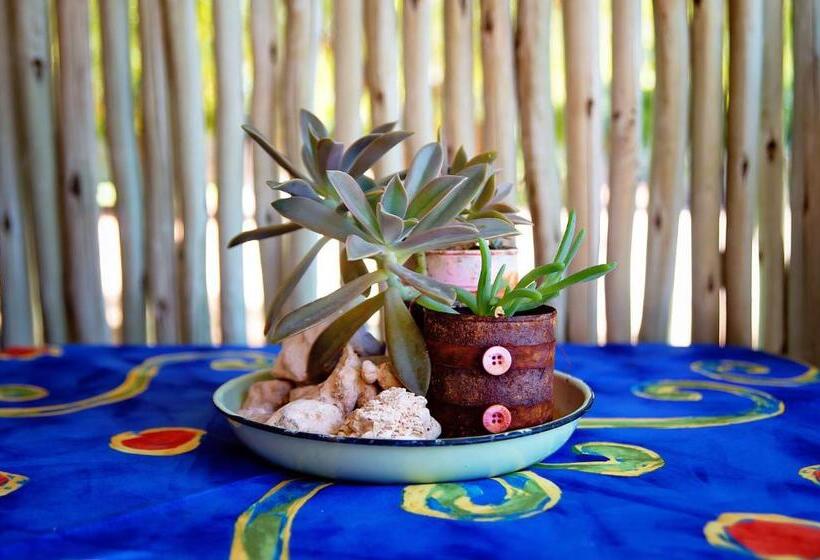 デラックスルーム, Kalahari Camelthorn Guesthouse And Camping