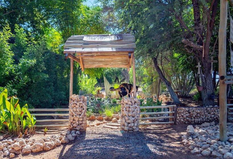 Номер Deluxe, Kalahari Camelthorn Guesthouse And Camping