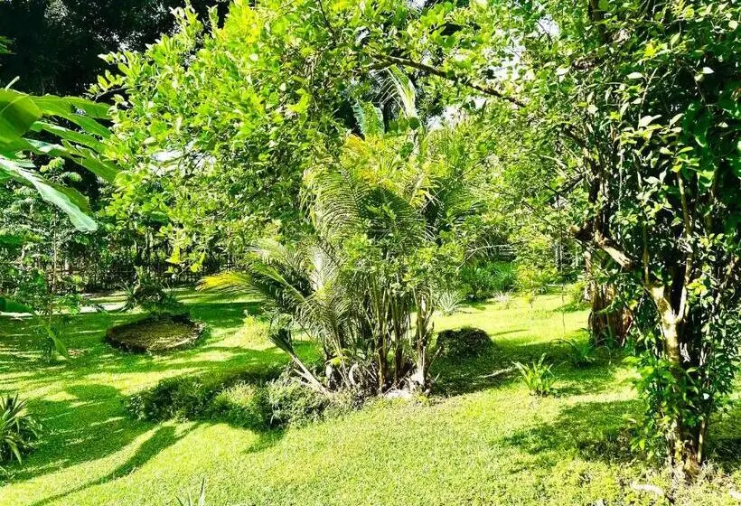 バス共有のスタンダードルーム, Sanctum Una Una Eco Dive Resort