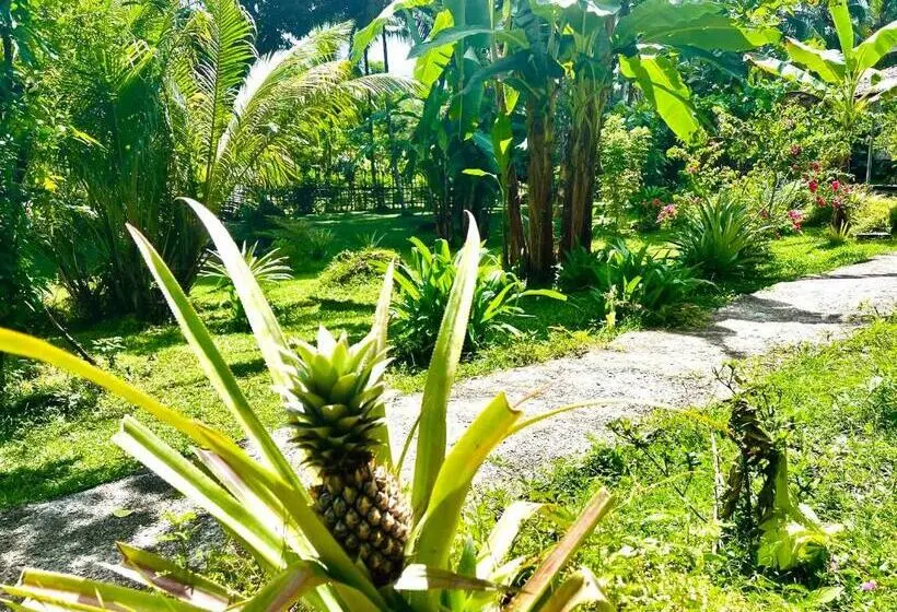 バス共有のスタンダードルーム, Sanctum Una Una Eco Dive Resort