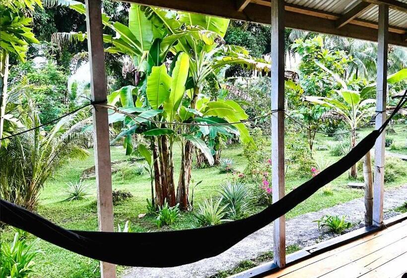 带共用浴室的标准房间, Sanctum Una Una Eco Dive Resort