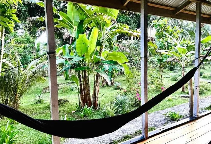 バス共有のスタンダードルーム, Sanctum Una Una Eco Dive Resort