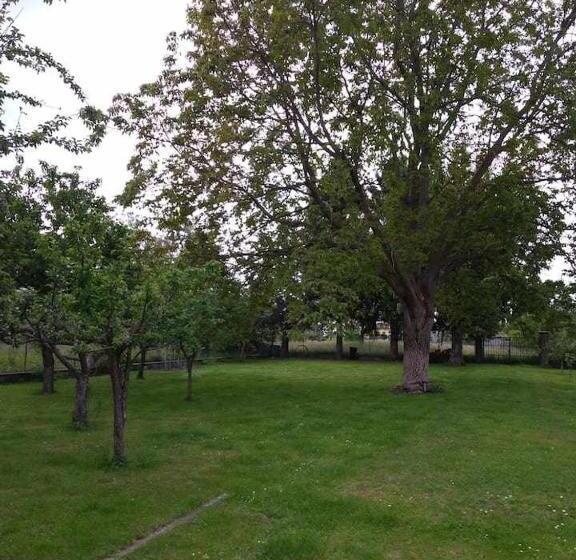 标准间, Beb Infamiglia