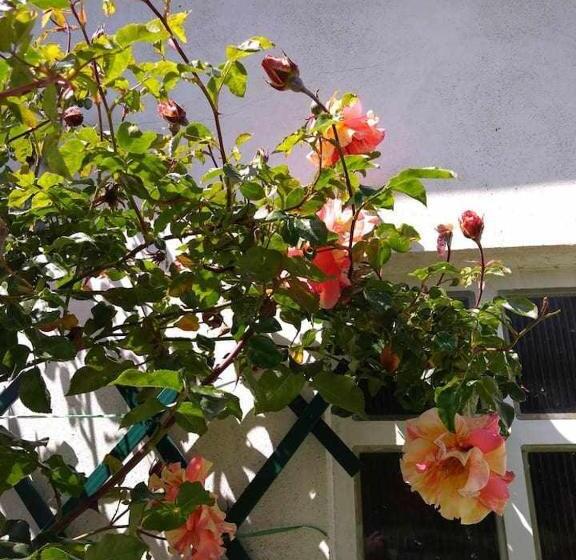 标准间, Beb Infamiglia