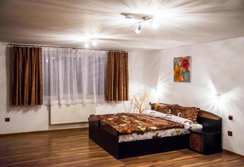 חדר משפחתי דלוקס, Pensiunea Silvanka