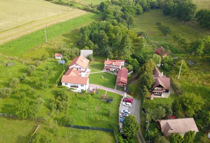 דירת חדר בקומת קרקע, Pensiunea Silvanka