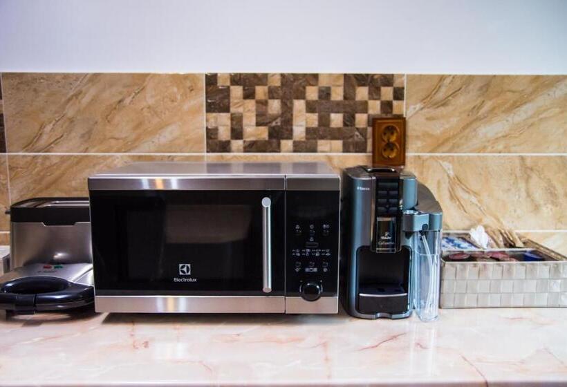 Апартаменты 1 Спальня Нижний Этаж, Pensiunea Silvanka