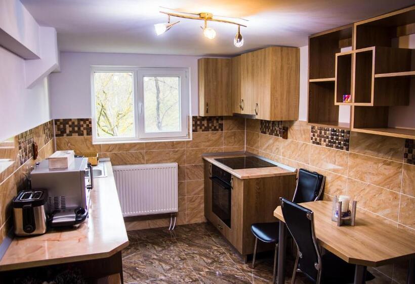 דירת חדר בקומת קרקע, Pensiunea Silvanka