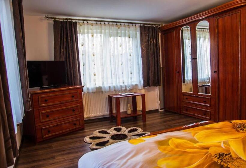 דירת חדר בקומת קרקע, Pensiunea Silvanka