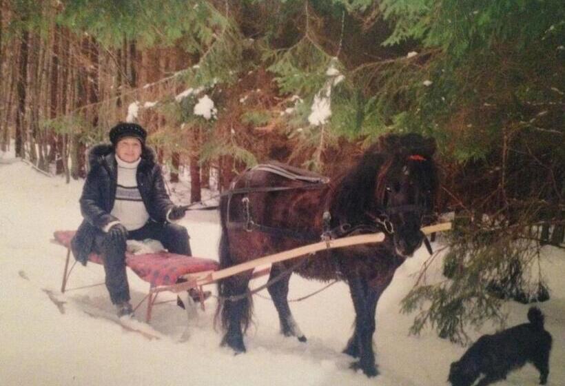 וילת חדר שינה 1, נוף לגינה, Pensiunea Silvanka