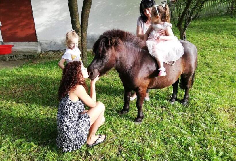 וילת חדר שינה 1, נוף לגינה, Pensiunea Silvanka