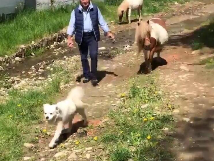 וילת חדר שינה 1, נוף לגינה, Pensiunea Silvanka