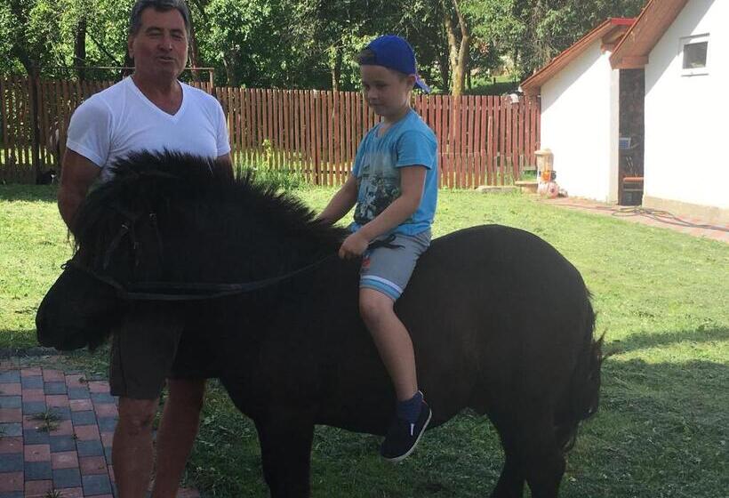 וילת חדר שינה 1, נוף לגינה, Pensiunea Silvanka