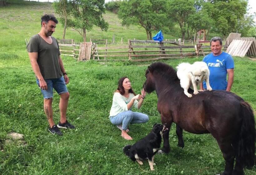 וילת חדר שינה 1, נוף לגינה, Pensiunea Silvanka