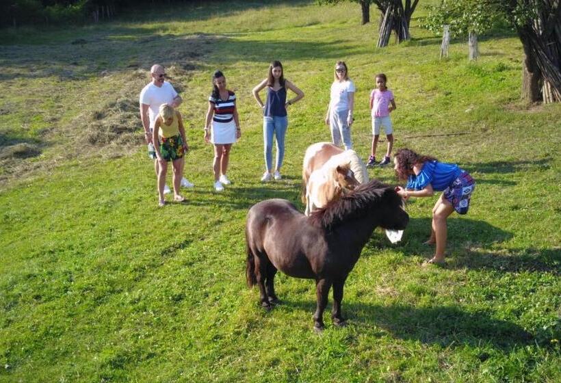Вилла 1 Спальня Вид на Сад, Pensiunea Silvanka