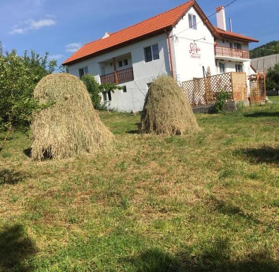 וילת חדר שינה 1, נוף לגינה, Pensiunea Silvanka