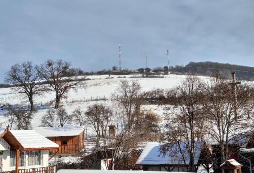 וילת חדר שינה 1, נוף לגינה, Pensiunea Silvanka