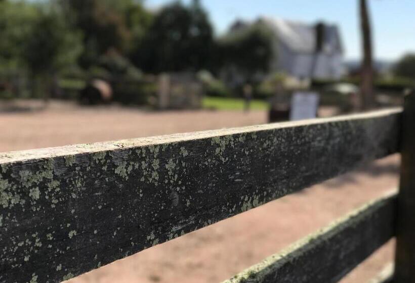 إستوديو قياسى سرير كينج, Robin Hoods Well Farm Stay