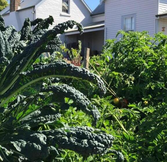 منزل غرفة نوم واحدة, Robin Hoods Well Farm Stay