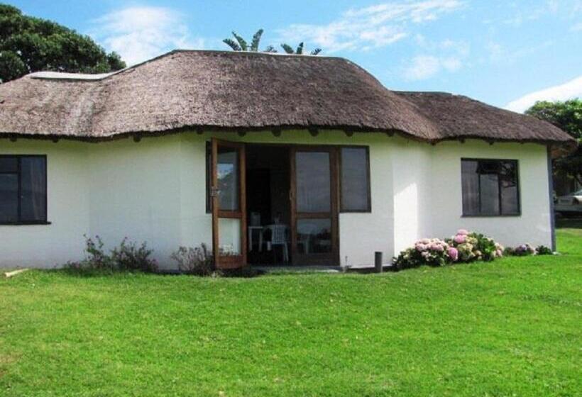 غرفة قياسية, The Haven