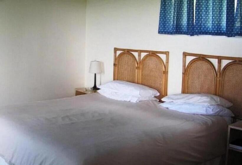 غرفة ديلوكس, The Haven