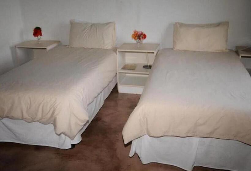 غرفة ديلوكس, The Haven