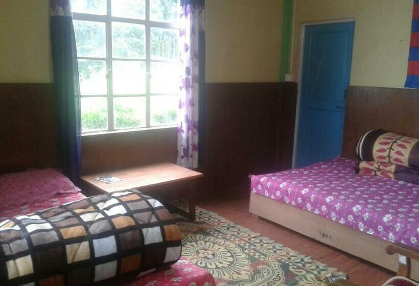 标准间, Vamoose Kunga Delek