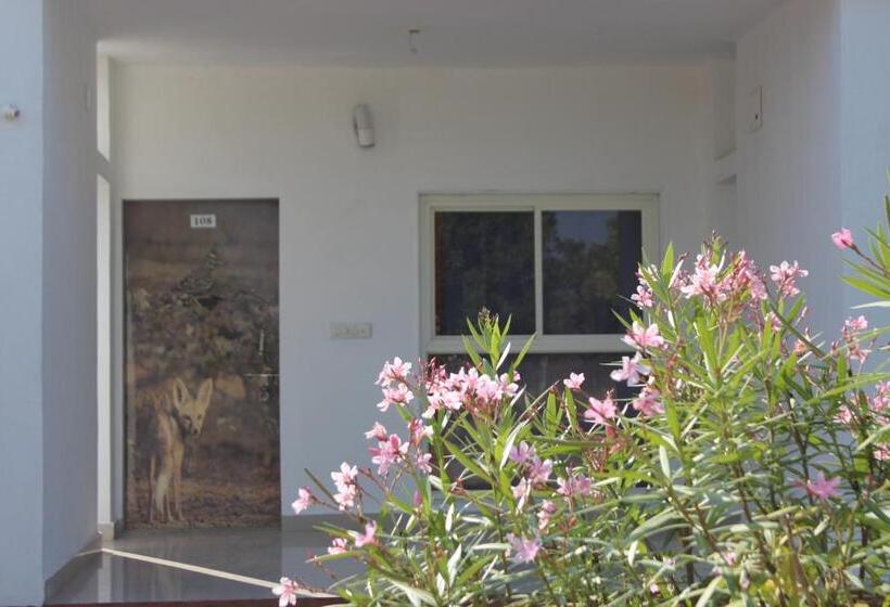 标准间, Little Rann Resort