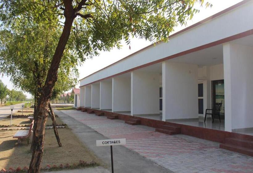 חדר סטנדרט, Little Rann Resort