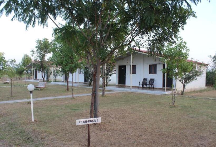 חדר סטנדרט, Little Rann Resort