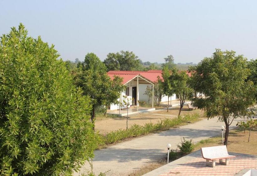 חדר סטנדרט, Little Rann Resort