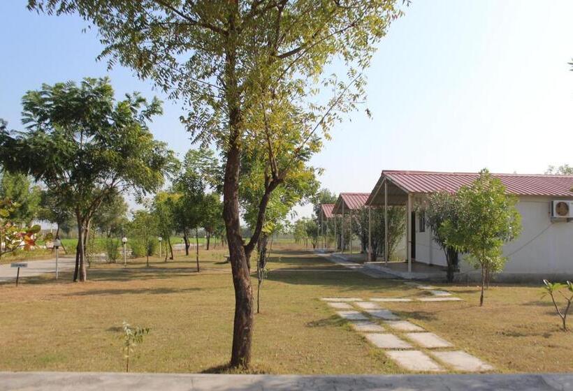 标准间, Little Rann Resort