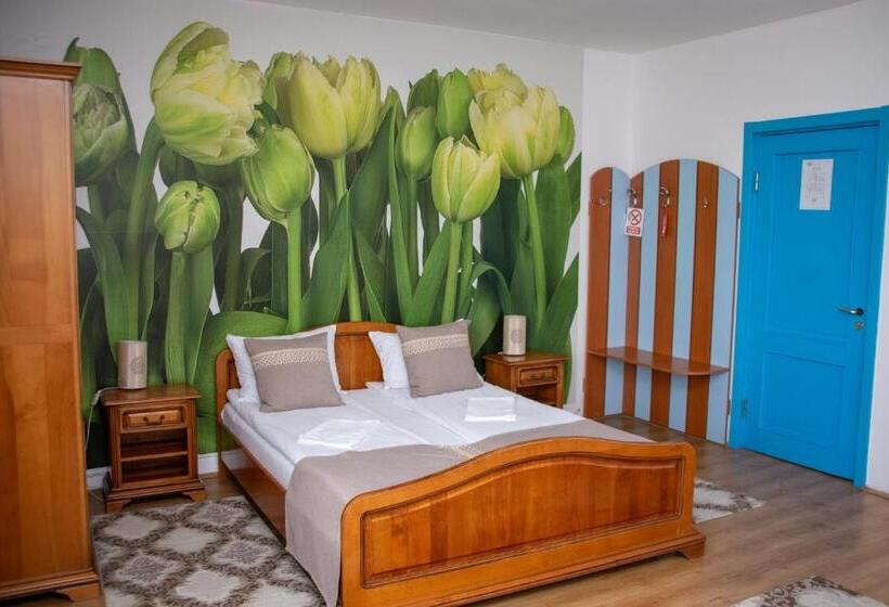 テラス付きスタンダードルーム, Motel Via Targu Mures