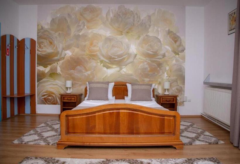 Номер Стандарт с Террасой, Motel Via Targu Mures