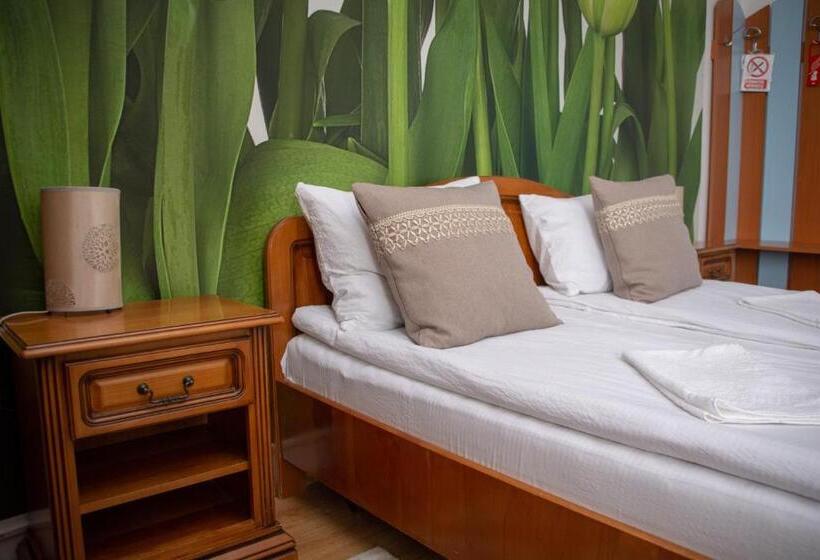 テラス付きスタンダードルーム, Motel Via Targu Mures