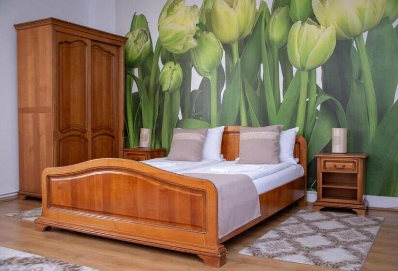 スタンダードルーム, Motel Via Targu Mures