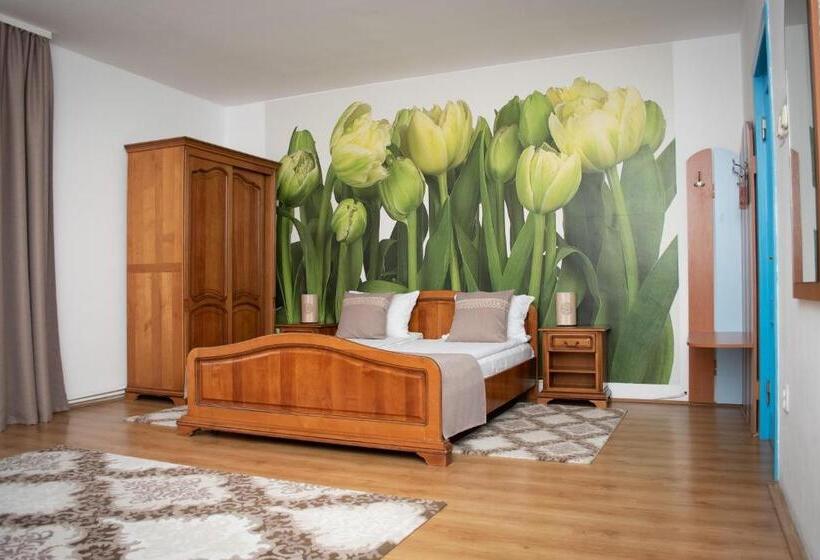 Номер Стандарт с Террасой, Motel Via Targu Mures