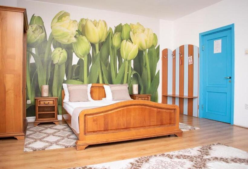 テラス付きスタンダードルーム, Motel Via Targu Mures