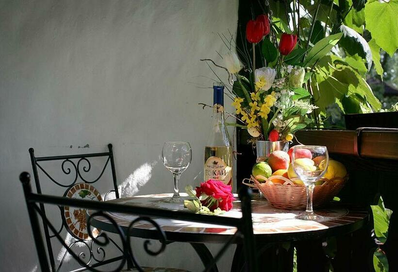 클래식 스위트, Iváncsó Birtok   термальні води косино